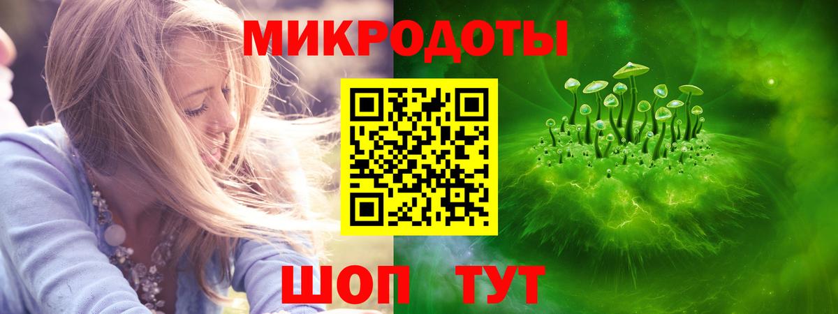 Галлюциногенные грибы Cubensis Партизанск